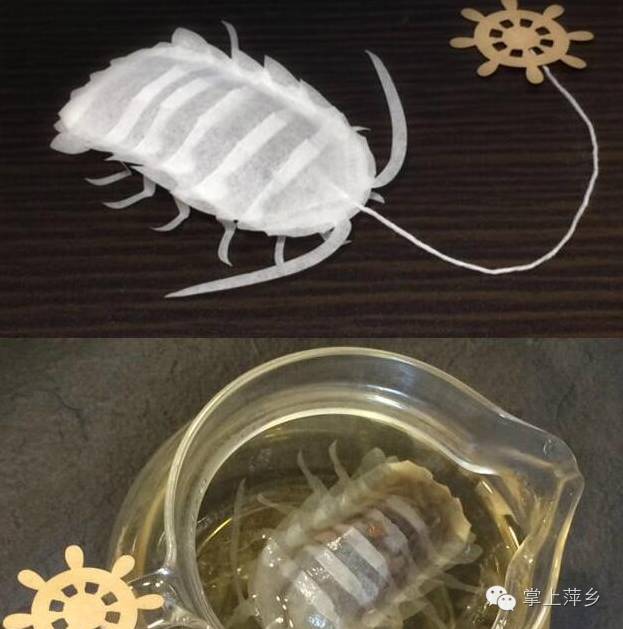 【掌上萍乡】笑多了会怀孕——要逃课也不用这么拼吧!-怀孕期