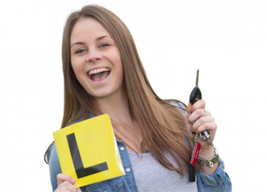 教你如何在新西兰“开车”