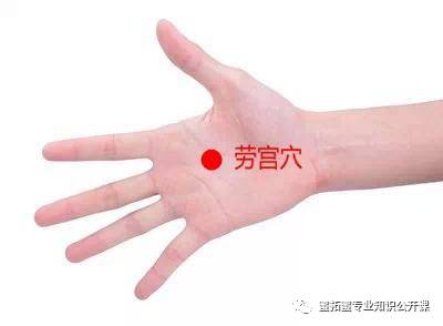 【十二经络】详解(图24)