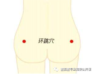 【十二经络】详解(图29)