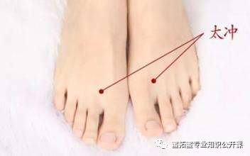 【十二经络】详解(图31)