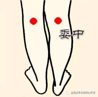 【十二经络】详解(图18)