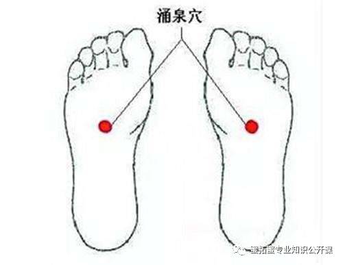 【十二经络】详解(图21)