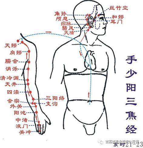【十二经络】详解(图25)