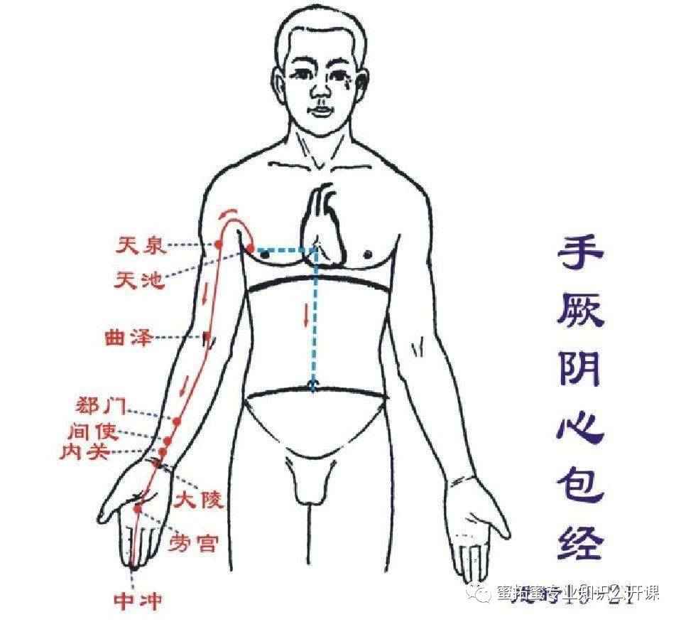【十二经络】详解(图22)