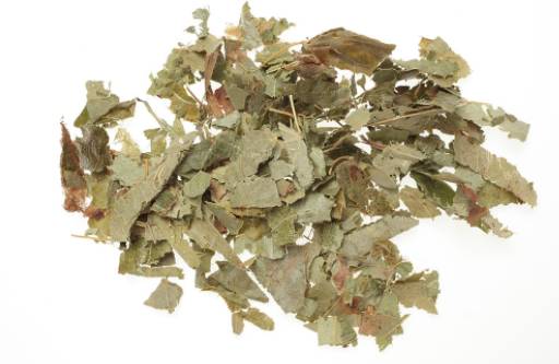 【分析】淫羊藿简析