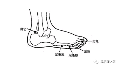 膀胱经，女性最大的排毒通道！