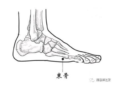 膀胱经，女性最大的排毒通道！