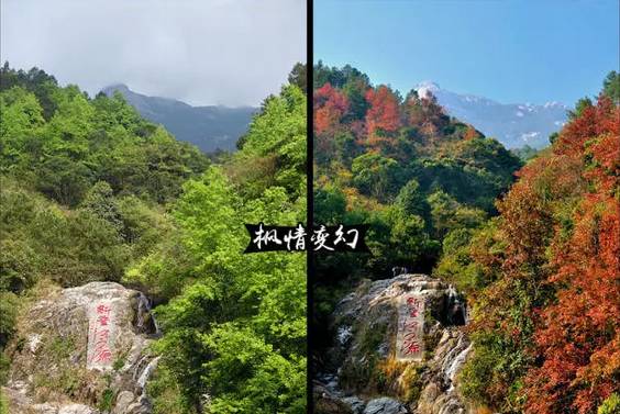 (4)(12月3~4日)新丰云髻山 广东的香格里拉 看枫叶 泡温泉-户外活动图-驼铃网