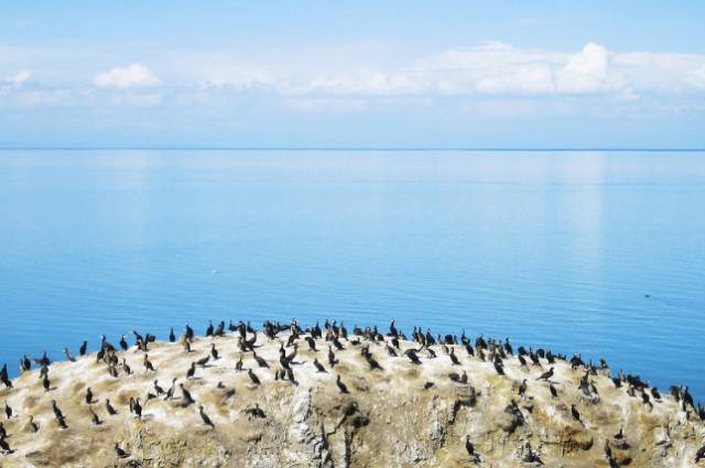 青海湖在哪_青海湖在哪个省哪个市_青海湖旅游攻略必去景点大全