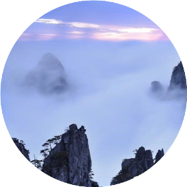 青荷公众吧