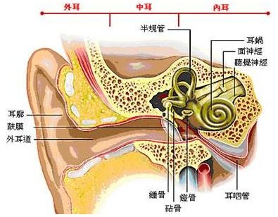 分泌性中耳炎腺样体肥大的常见并发症