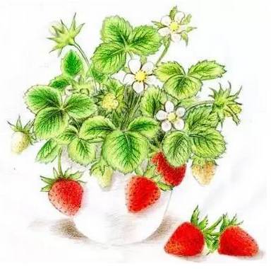 640?wx_fmt=png&tp=webp&wxfrom=5&wx_lazy=1