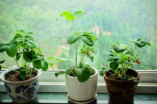 640?wx_fmt=png&tp=webp&wxfrom=5&wx_lazy=1