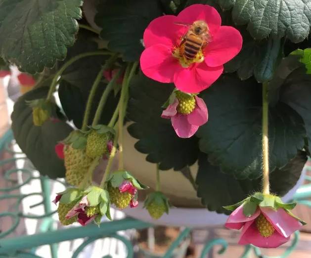 640?wx_fmt=png&tp=webp&wxfrom=5&wx_lazy=1