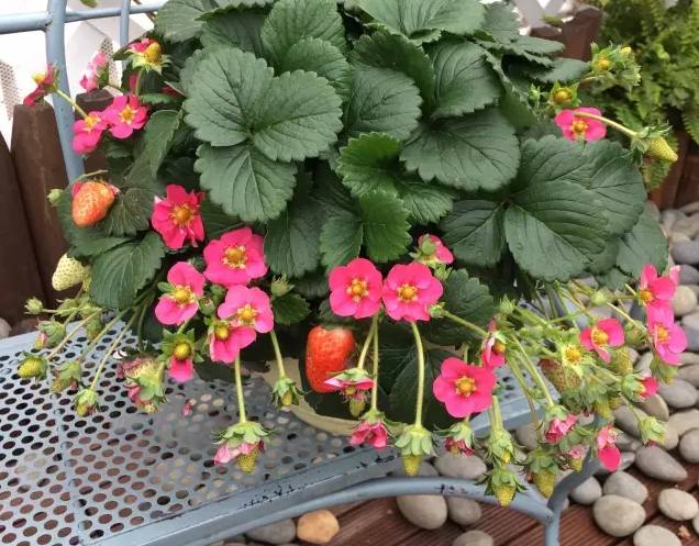 640?wx_fmt=png&tp=webp&wxfrom=5&wx_lazy=1