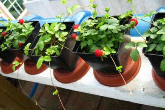 640?wx_fmt=png&tp=webp&wxfrom=5&wx_lazy=1