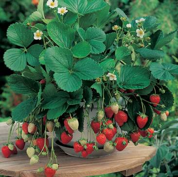 640?wx_fmt=png&tp=webp&wxfrom=5&wx_lazy=1