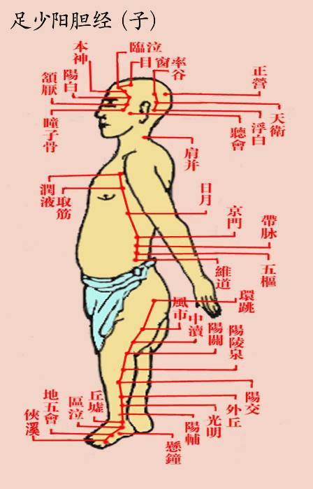 今古上医教您看经络,在家也能成专家!