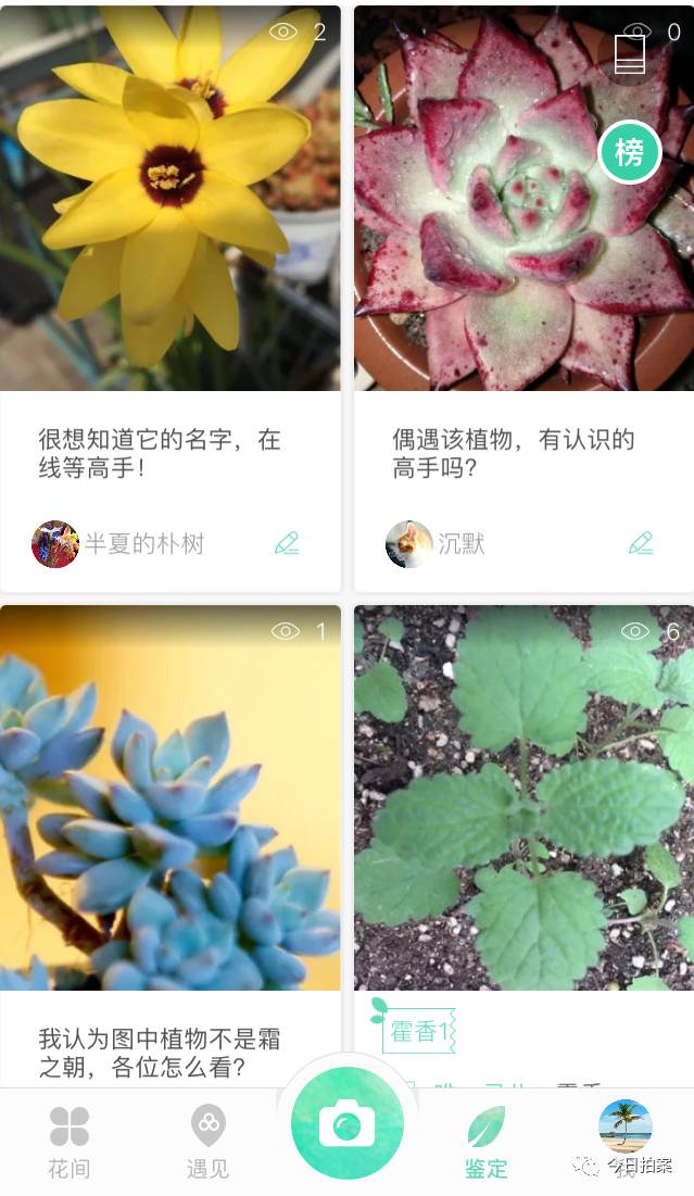 神器系列之二:拍张照片,一秒鉴定植物.