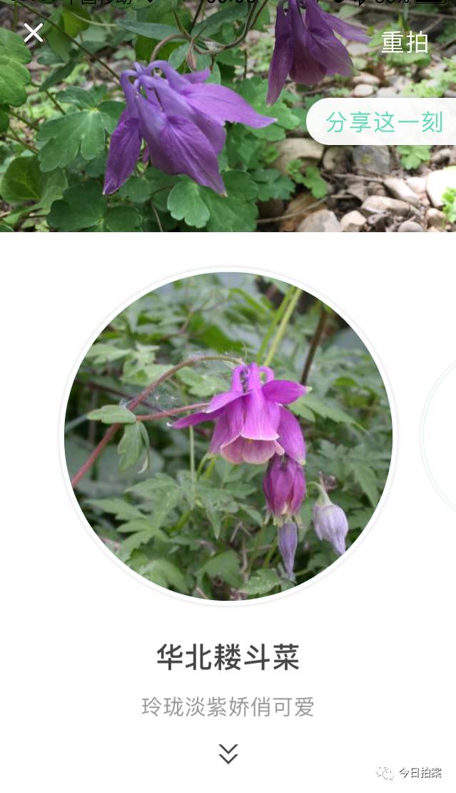 如何把图片上传百度图片_百度识图上传图片_怎么上传图片到百度图片