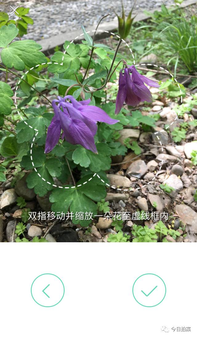 百度识图上传图片_如何把图片上传百度图片_怎么上传图片到百度图片