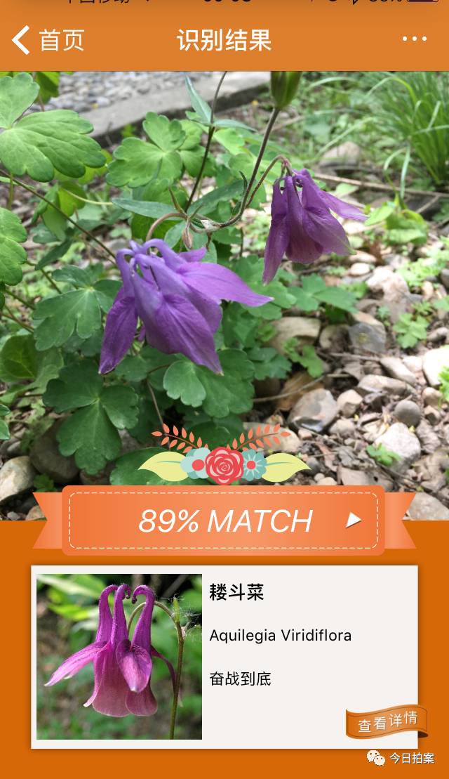 百度识图上传图片_怎么上传图片到百度图片_如何把图片上传百度图片