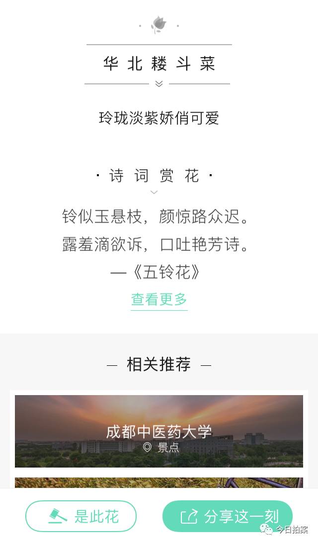 百度识图上传图片_如何把图片上传百度图片_怎么上传图片到百度图片