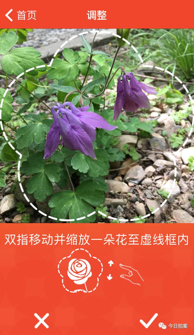 如何把图片上传百度图片_百度识图上传图片_怎么上传图片到百度图片