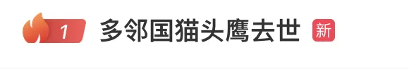 多邻国猫头鹰去世，没想到全网欢呼！