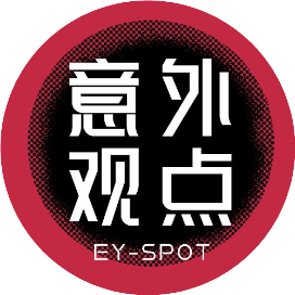 意外观点