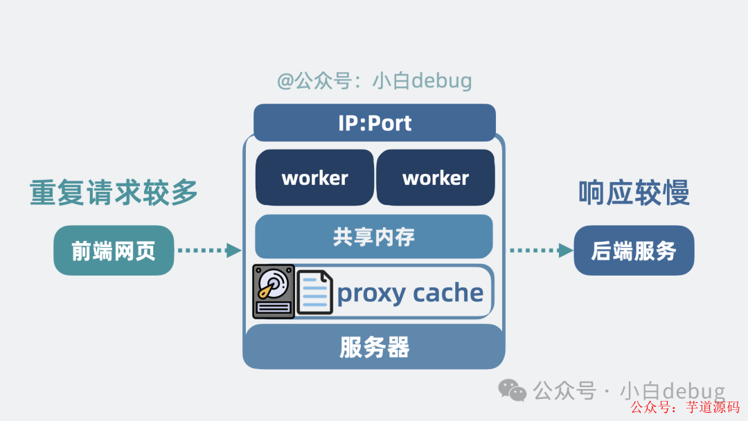 proxy cache