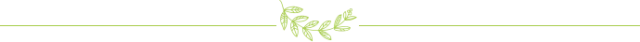 叶子分割线