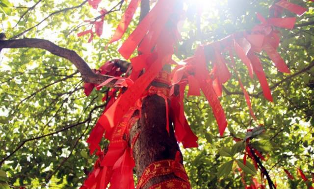 云顶山的传奇，不只是法师大有来头，还有三生三世的因果有道（一）