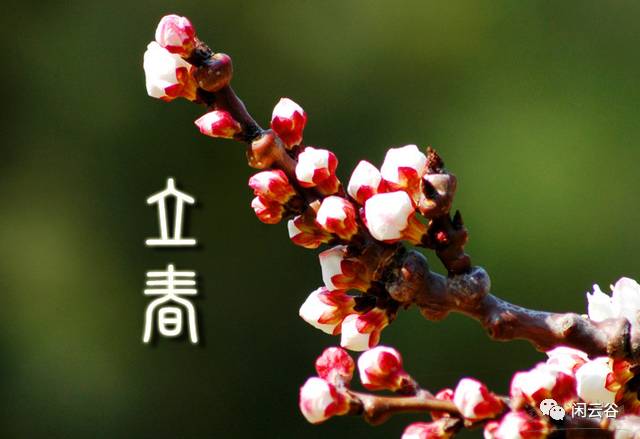 立春小常识 - 中年情怀 - 201314的博客 立春小常识 - 中年情怀 - 201314的博客