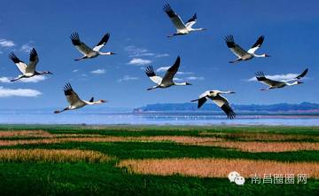 南昌市区有哪几个区_南昌市有几个区_南昌市下辖区