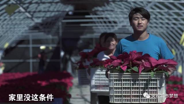 张亚勤简介_百度总裁张亚勤_张亚勤