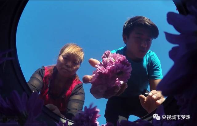 百度总裁张亚勤_张亚勤_张亚勤简介