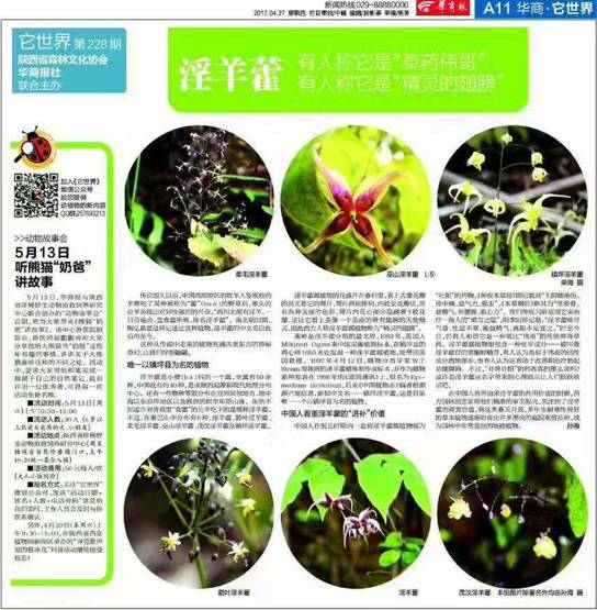 淫羊藿被赞为“中药伟哥”，但它仅是龟龄集众多补阳药之一！