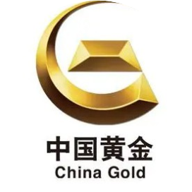 西藏华泰龙公司