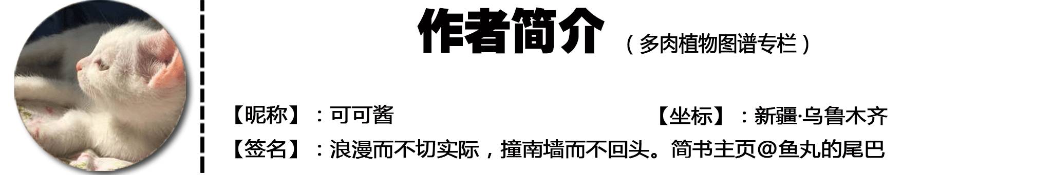 率土之滨配将经验心得_率土之滨配将经验心得_率土之滨配将经验心得