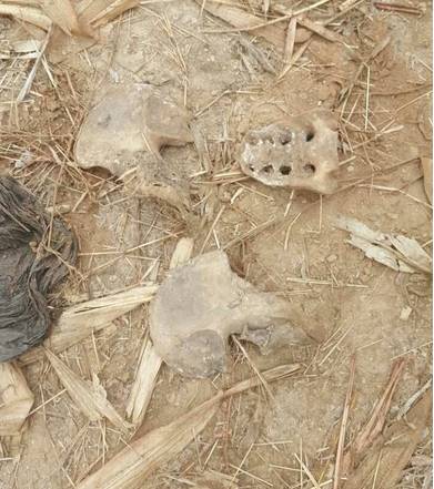 石家莊1對母子遇害:母親遭碎尸 180萬現(xiàn)金被取走