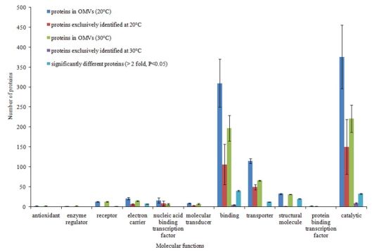 图3. GO功能注释图