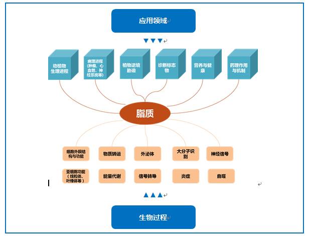 脂质组学的应用领域和参与的生物过程