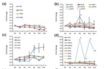 与甘油酯代谢有关基因的qRT-PCR结果