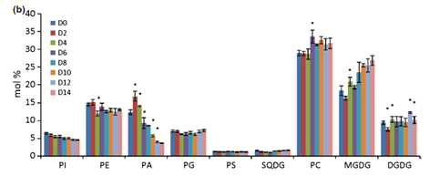 不同发育阶段的脂质定量分析