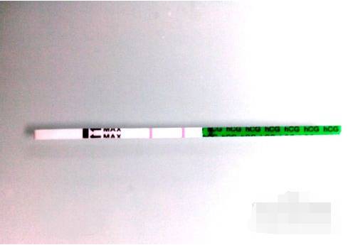 bd测试纸怎么用早孕测试纸使用方法，这些一定要知道哦_https://www.jmylbn.com_新闻资讯_第5张