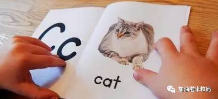 鳄鱼用英语怎样讲_鳄鱼英语怎么说说_鳄鱼用英语怎么说