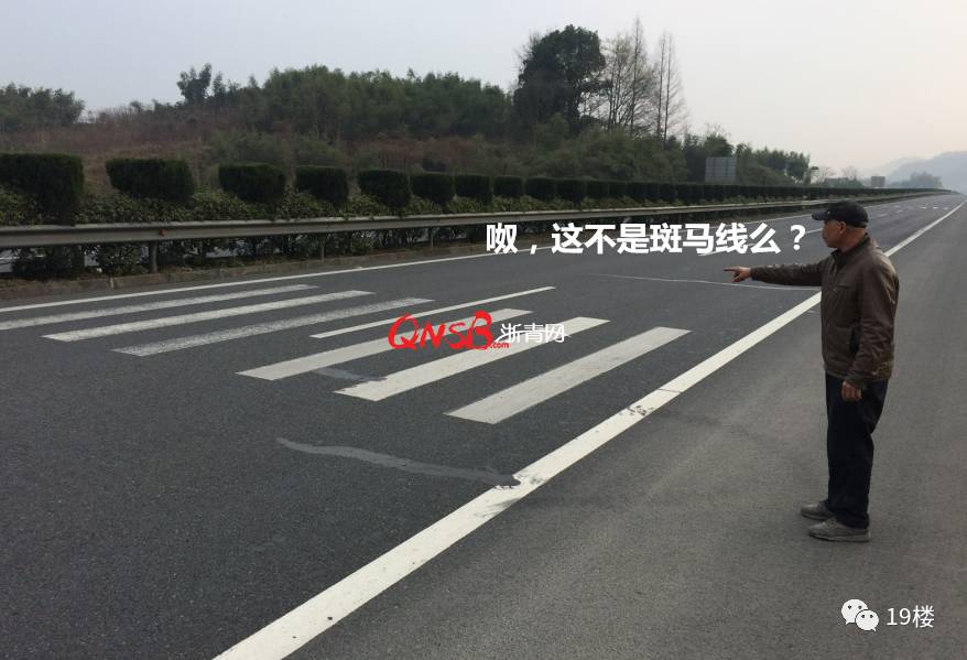 杭州大叔不顾危险横穿高速!他的理由更是让人哭笑不得:过马路...