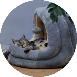 老实人的小宇宙